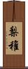 梨稚 Scroll