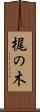 梶の木 Scroll