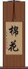 棉花 Scroll
