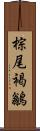 棕尾褐鶲 Scroll