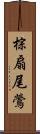 棕扇尾鶯 Scroll