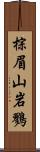 棕眉山岩鷚 Scroll