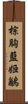 棕胸藍姬鶲 Scroll