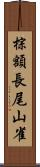 棕額長尾山雀 Scroll