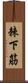 棘下筋 Scroll