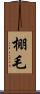 棚毛 Scroll