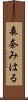 森奈みはる Scroll