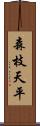 森枝天平 Scroll