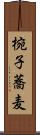 椀子蕎麦 Scroll