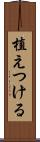 植えつける Scroll