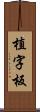 植字板 Scroll