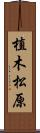 植木松原 Scroll