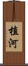 植河 Scroll
