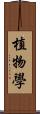 植物學 Scroll
