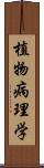 植物病理学 Scroll