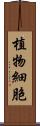 植物細胞 Scroll