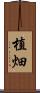 植畑 Scroll