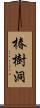 椿樹洞 Scroll