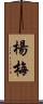 楊梅 Scroll