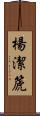 楊潔篪 Scroll