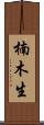 楠木生 Scroll