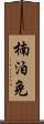 楠泊免 Scroll