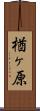 楢ヶ原 Scroll