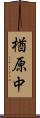 楢原中 Scroll