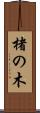 楮の木 Scroll