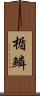 楯鱗 Scroll