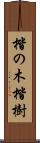 楷の木 Scroll