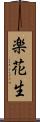 楽花生 Scroll