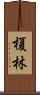 榎林 Scroll