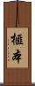 榧本 Scroll