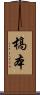 槁本 Scroll