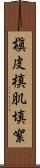 槇皮 Scroll