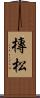 槫松 Scroll