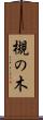 槻の木 Scroll