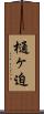 樋ヶ迫 Scroll