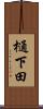 樋下田 Scroll