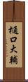 樋口大輔 Scroll