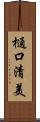 樋口清美 Scroll