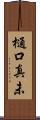 樋口真未 Scroll