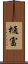樋富 Scroll