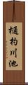 樋杓川池 Scroll