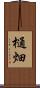樋畑 Scroll