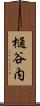 樋谷内 Scroll