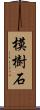 模樹石 Scroll
