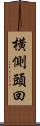 横側頭回 Scroll