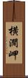 横澗岬 Scroll